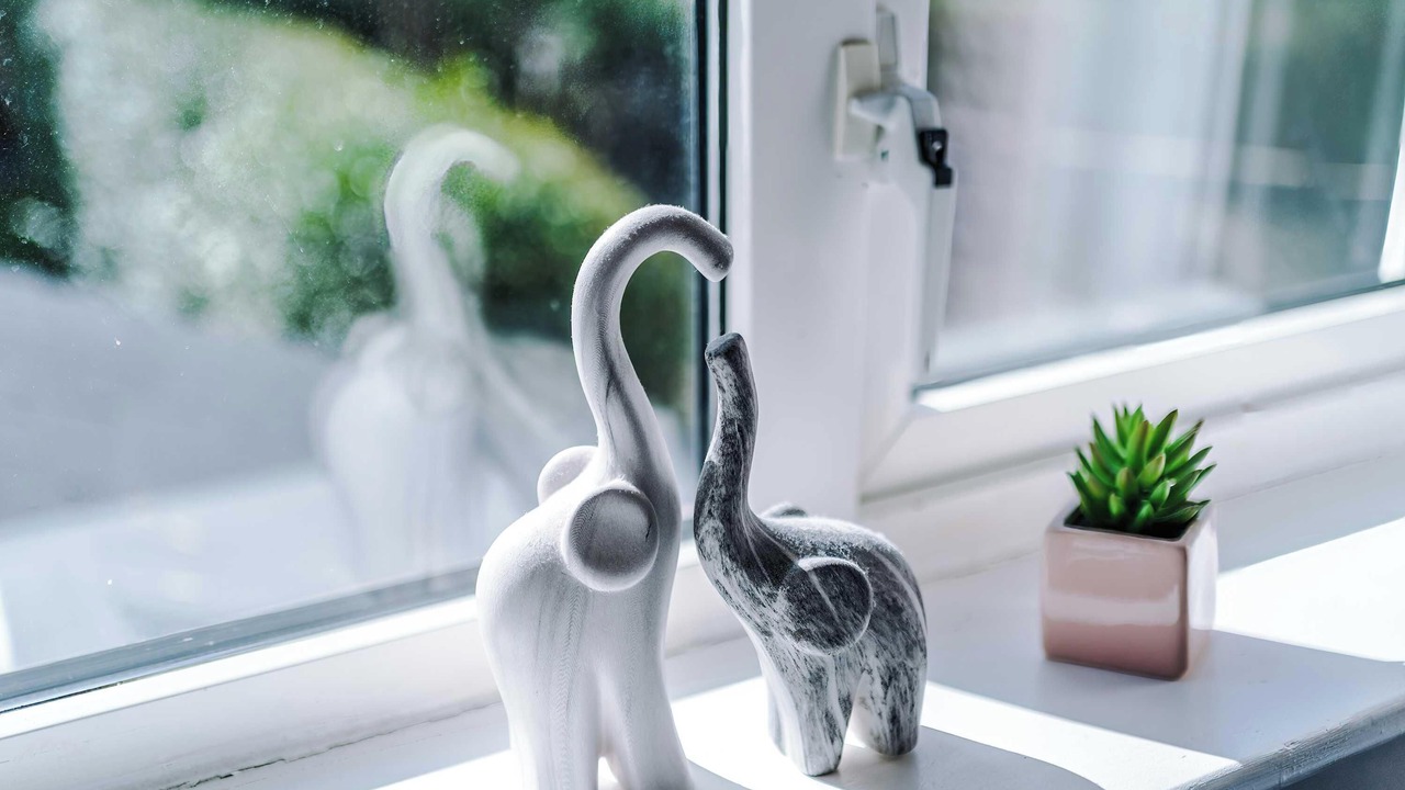 Photo of Others in Harrogate