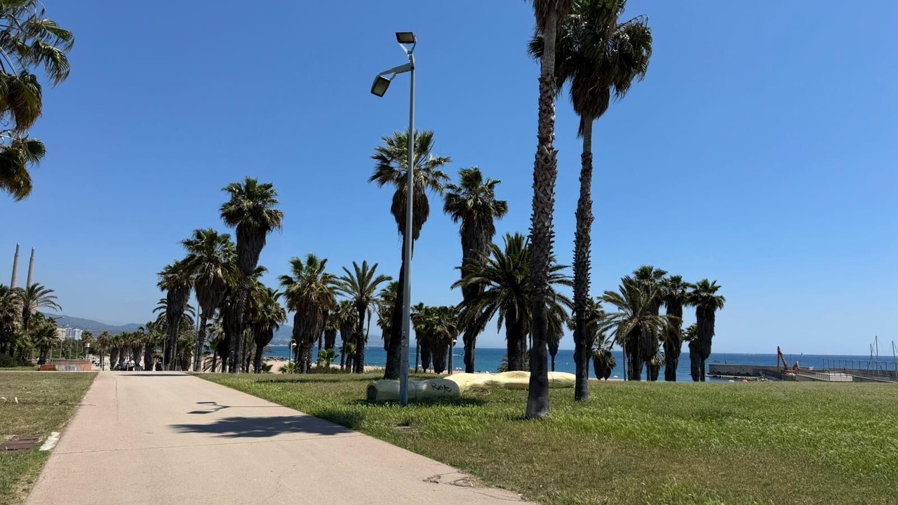 Photo of Others in Sant Adria de Besos