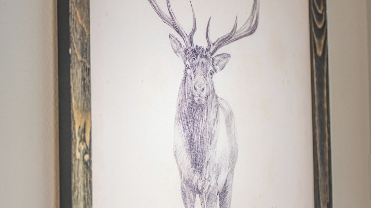 Photo of Others in Forks