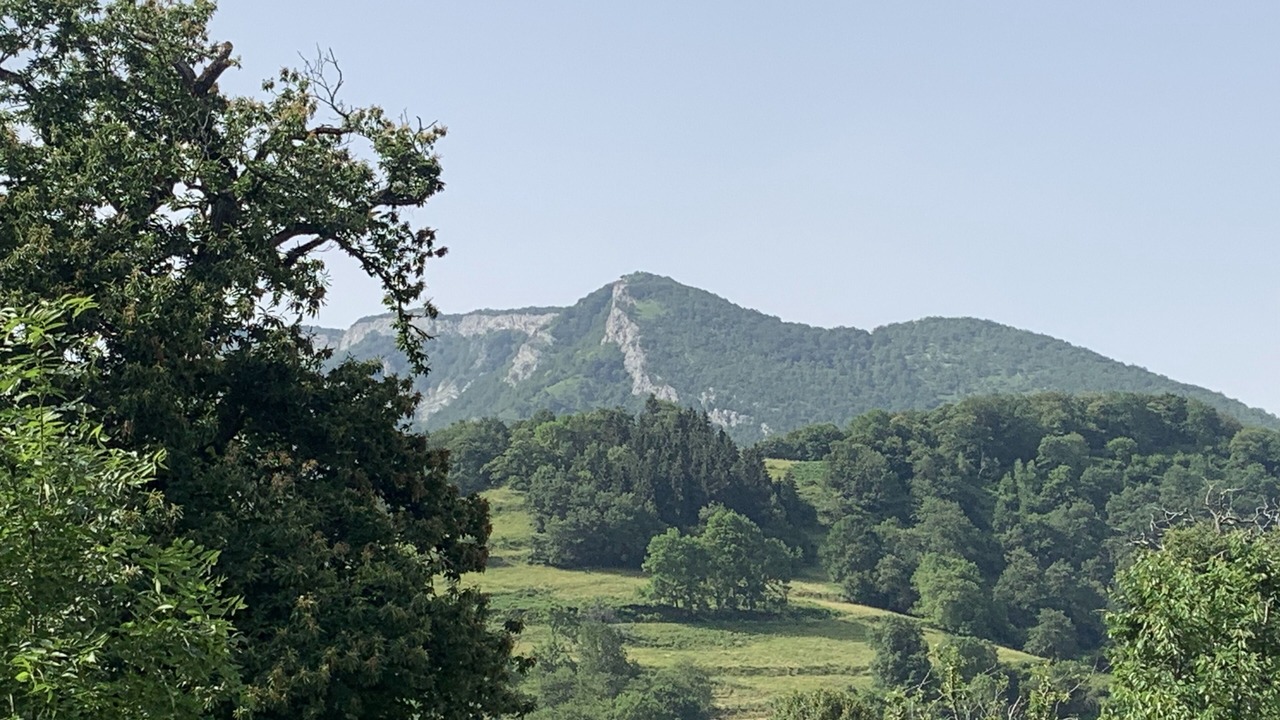 Photo of Others in Esbareich