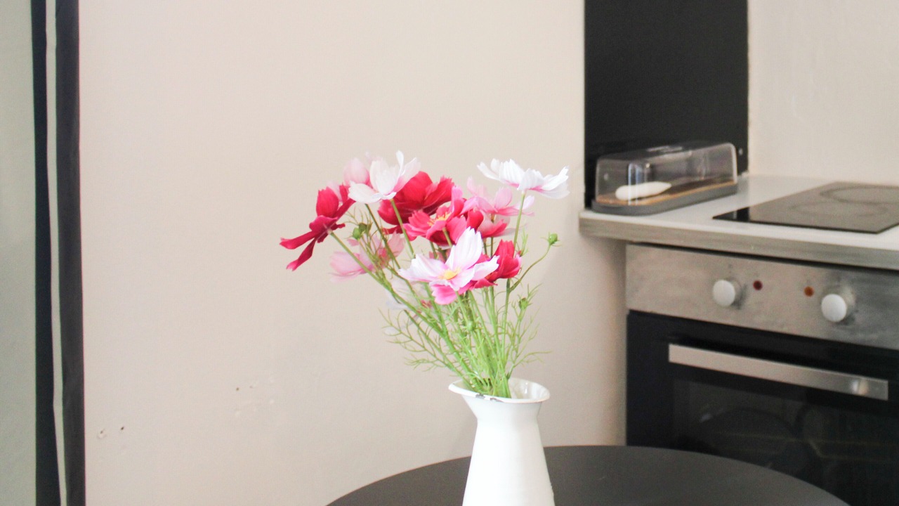 Photo of Kitchen in Saint-Denis