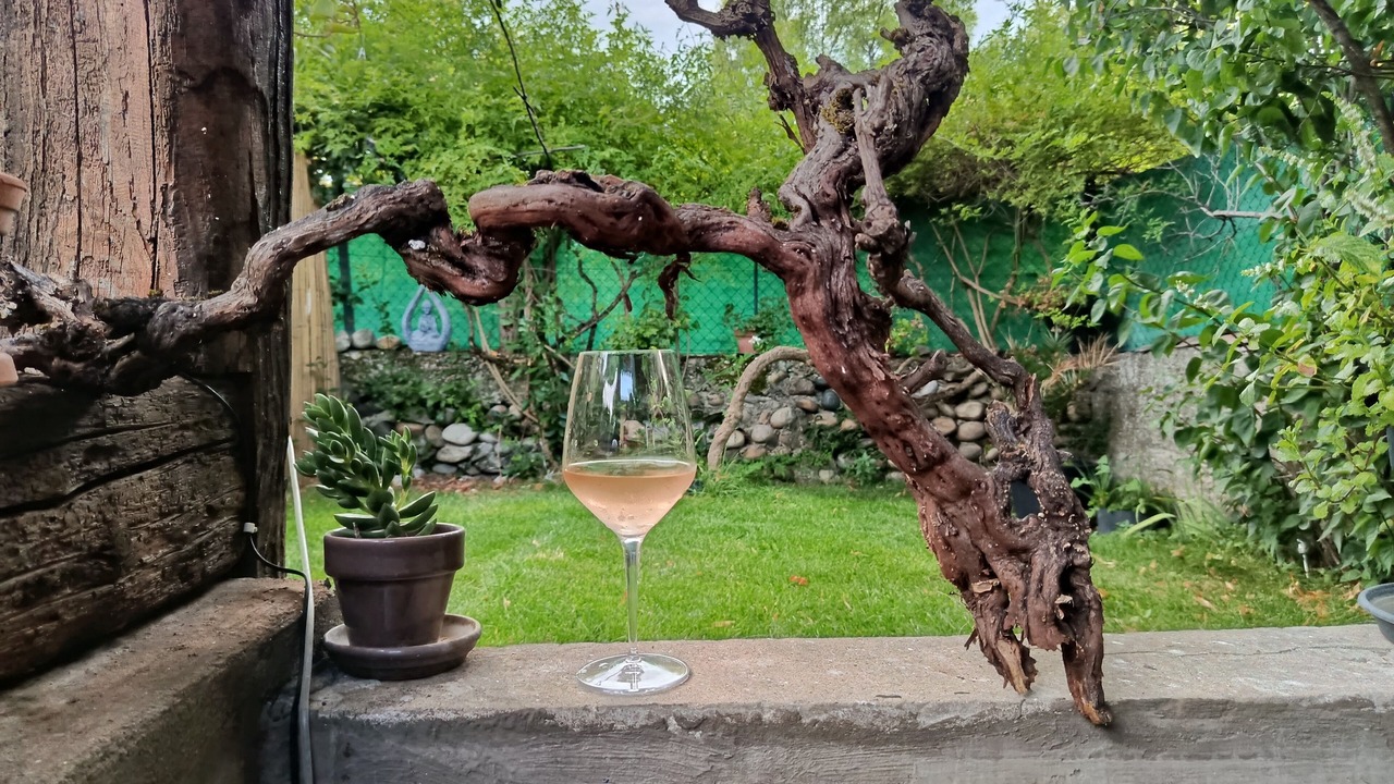 Photo of Outdoor in Valence