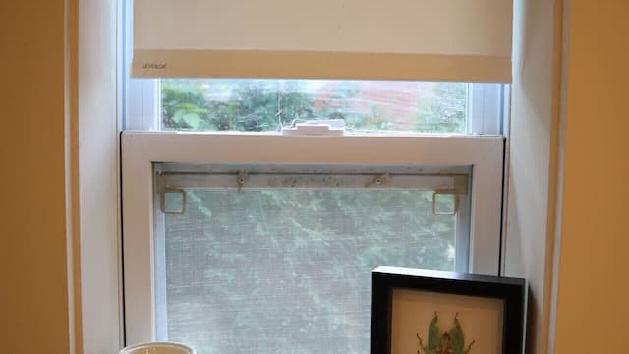 Photo of Others in Old Town