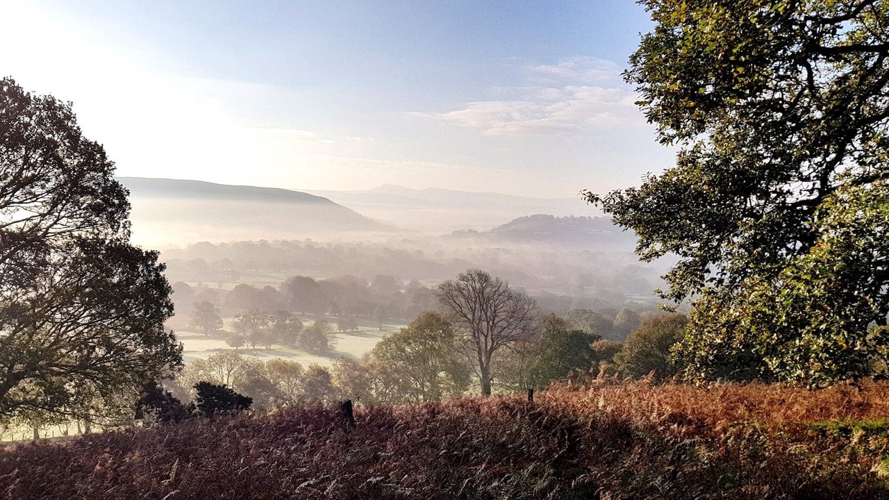 Photo of Others in Bethania