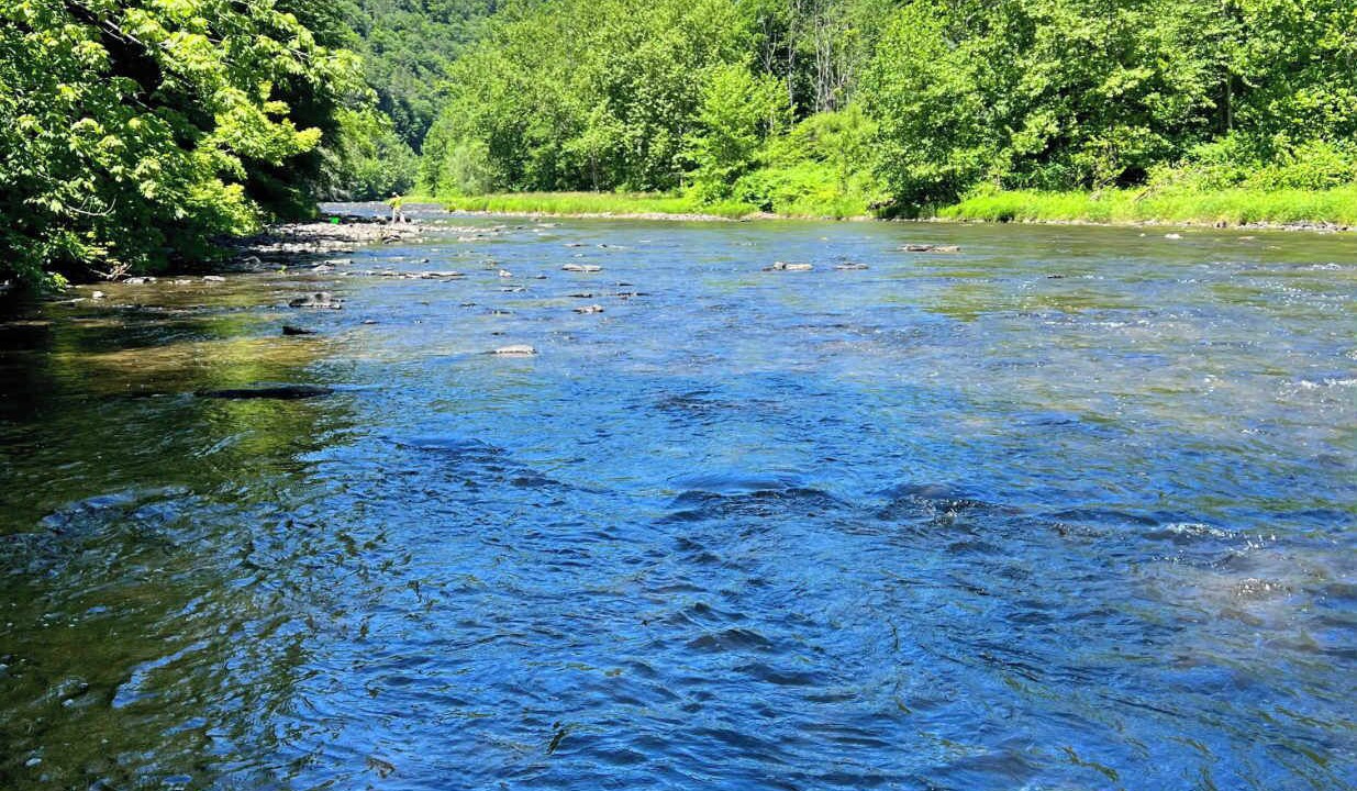 Photo of Others in Wellsboro