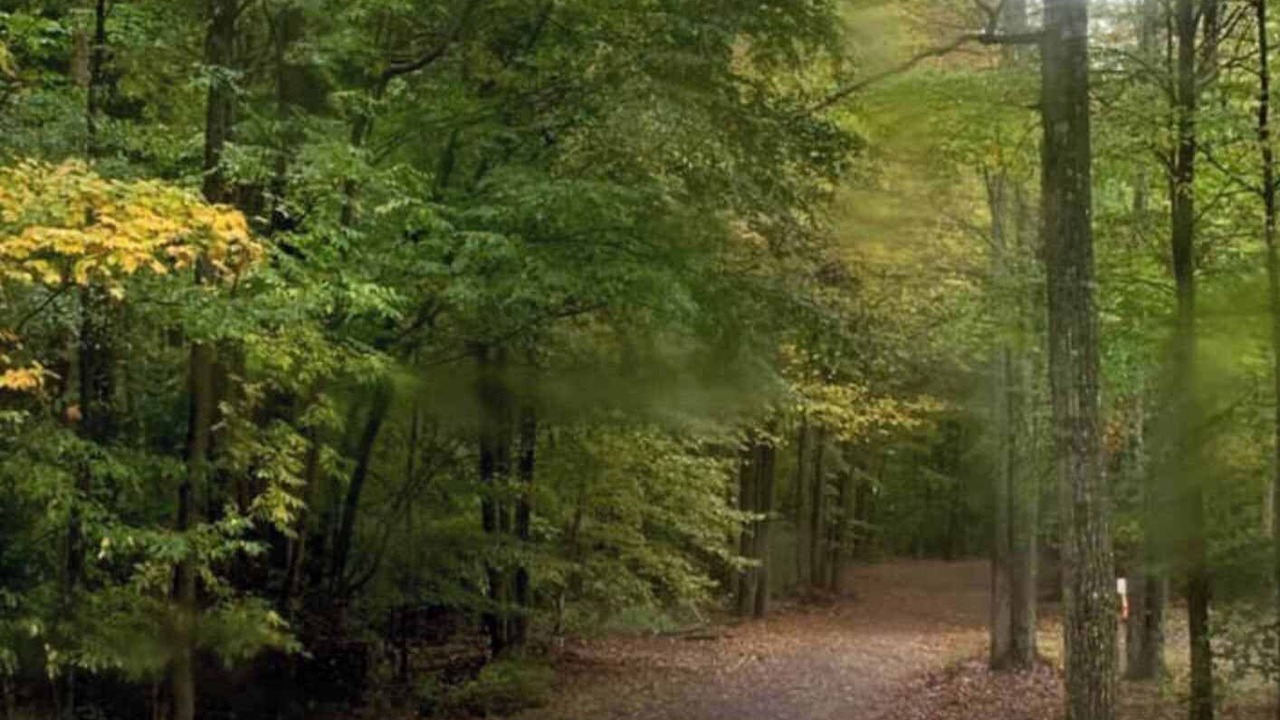 Photo of Others in Wellsboro