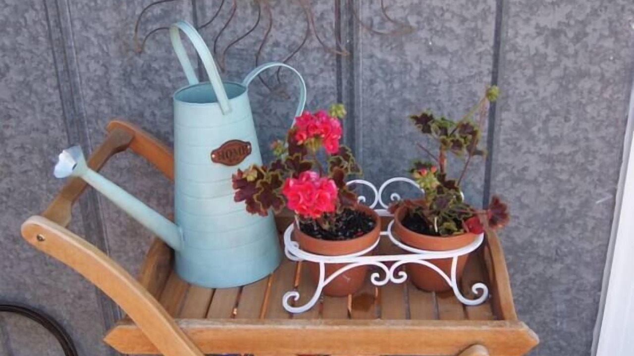 Photo of Others in Carlton