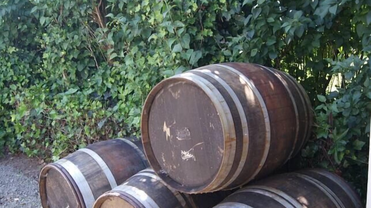 Photo of Outdoor in Carlton