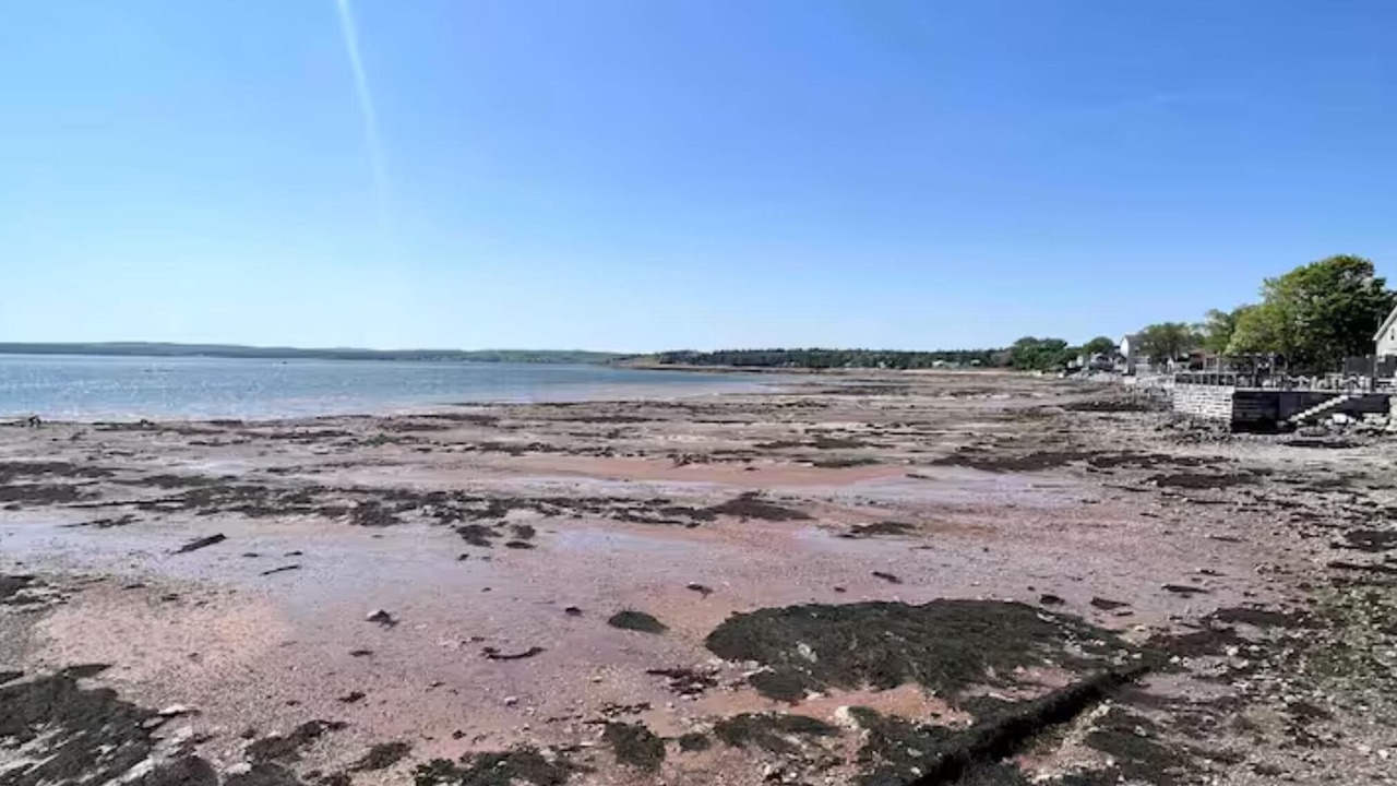 Photo of Others in St. Andrews