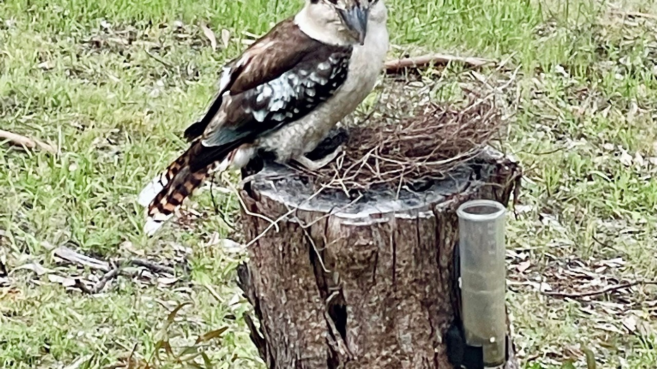 Photo of Others in Taylor Bay