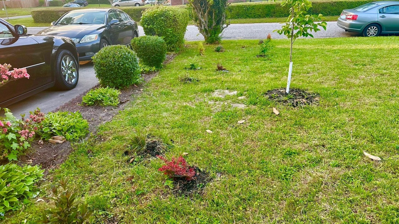 Photo of Outdoor in Norfolk