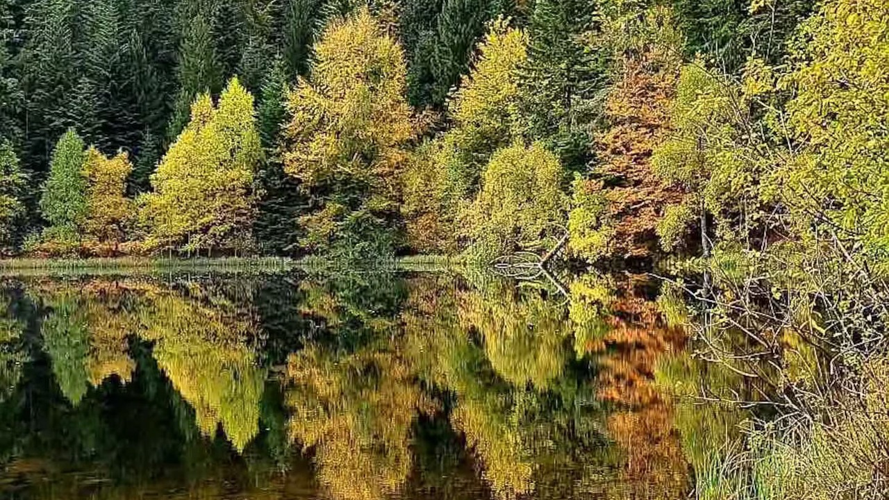 Photo of Others in Celles-sur-Plaine