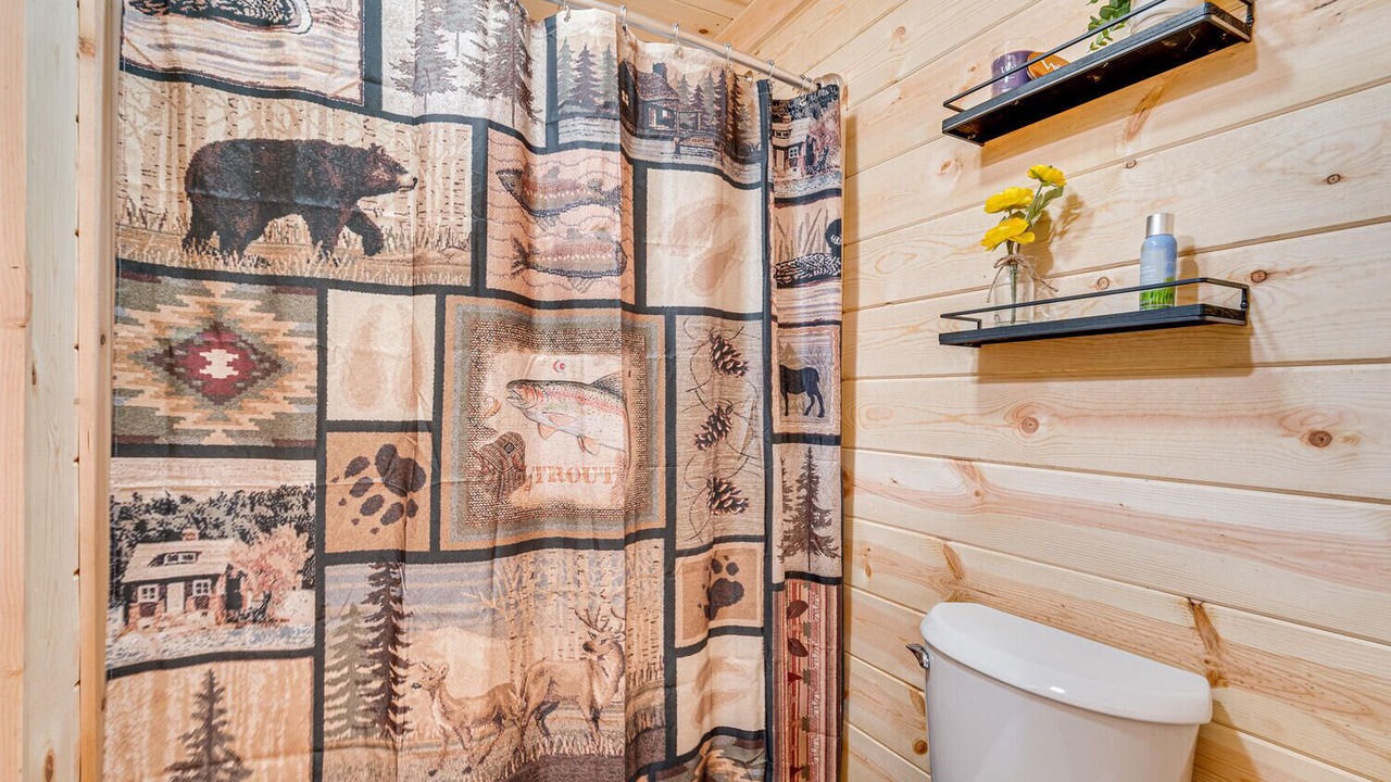 Photo of Bathroom in Shenandoah