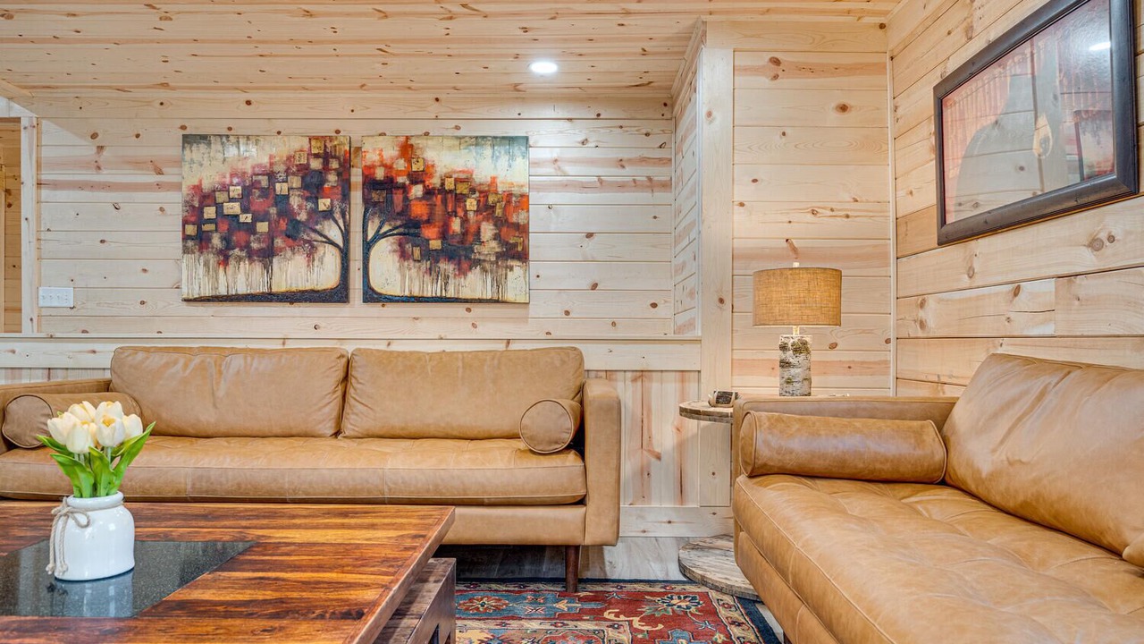 Photo of Livingroom in Shenandoah