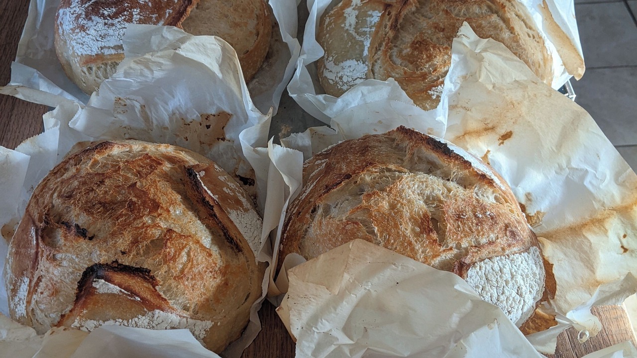 Photo of Others in Dedham