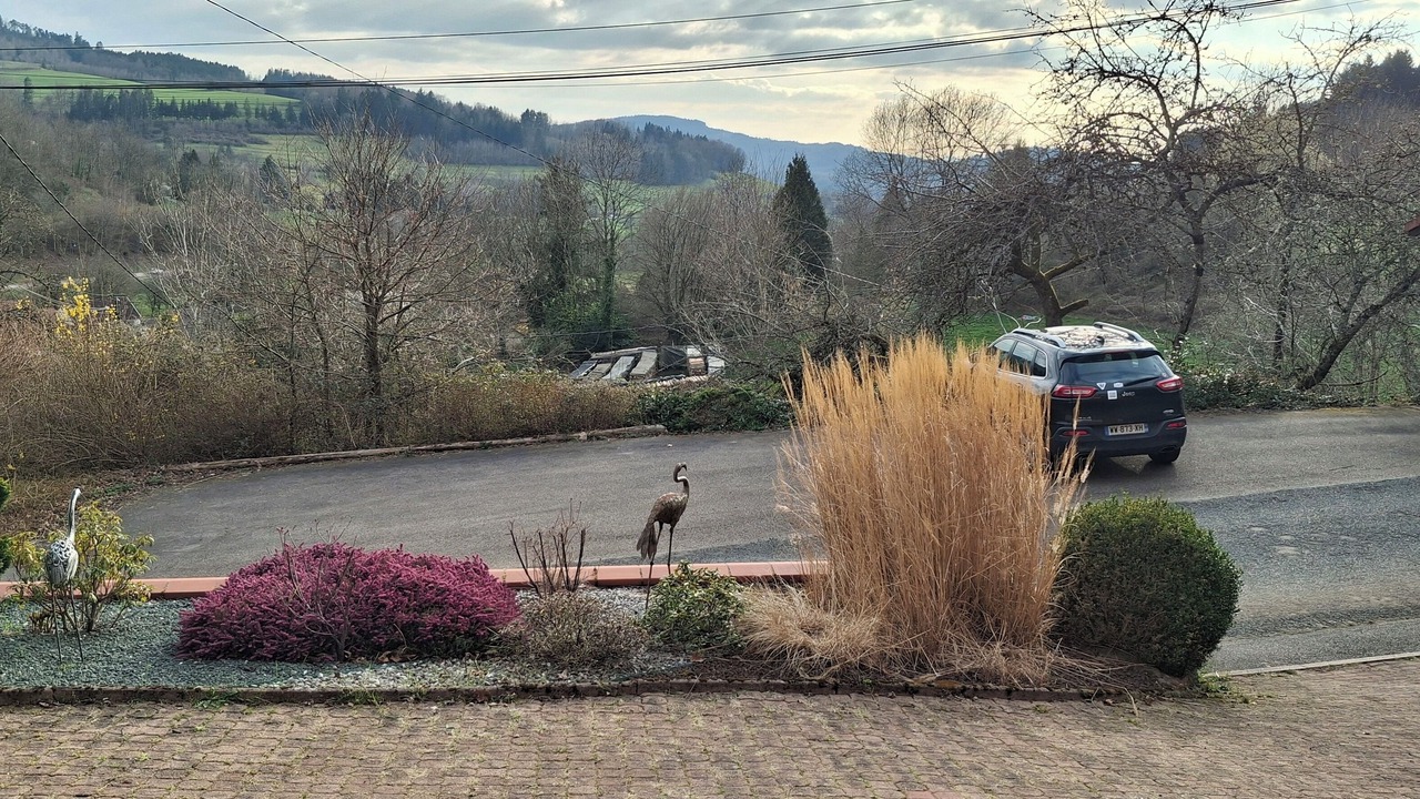 Photo of Others in Wisembach