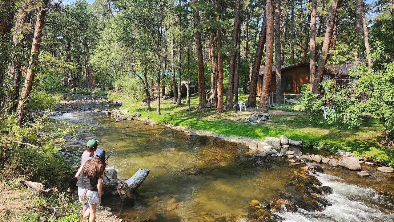 Photo of Others in Saddlestring