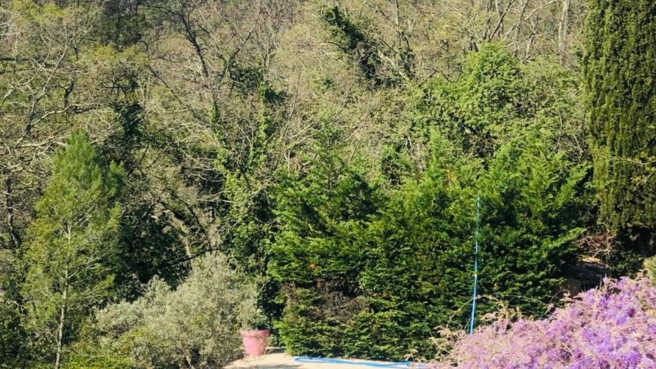 Photo of Outdoor in Saint-Paul-en-Foret
