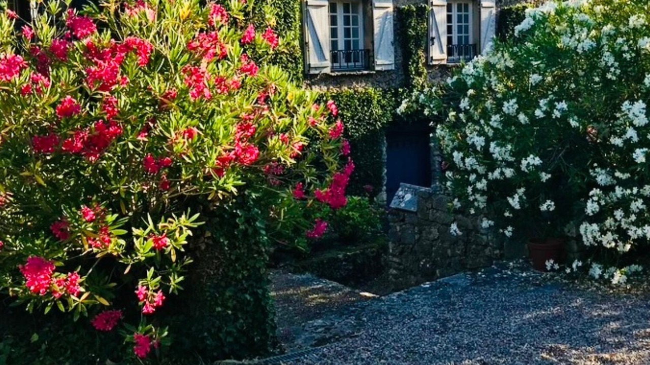 Photo of Others in Saint-Paul-en-Foret