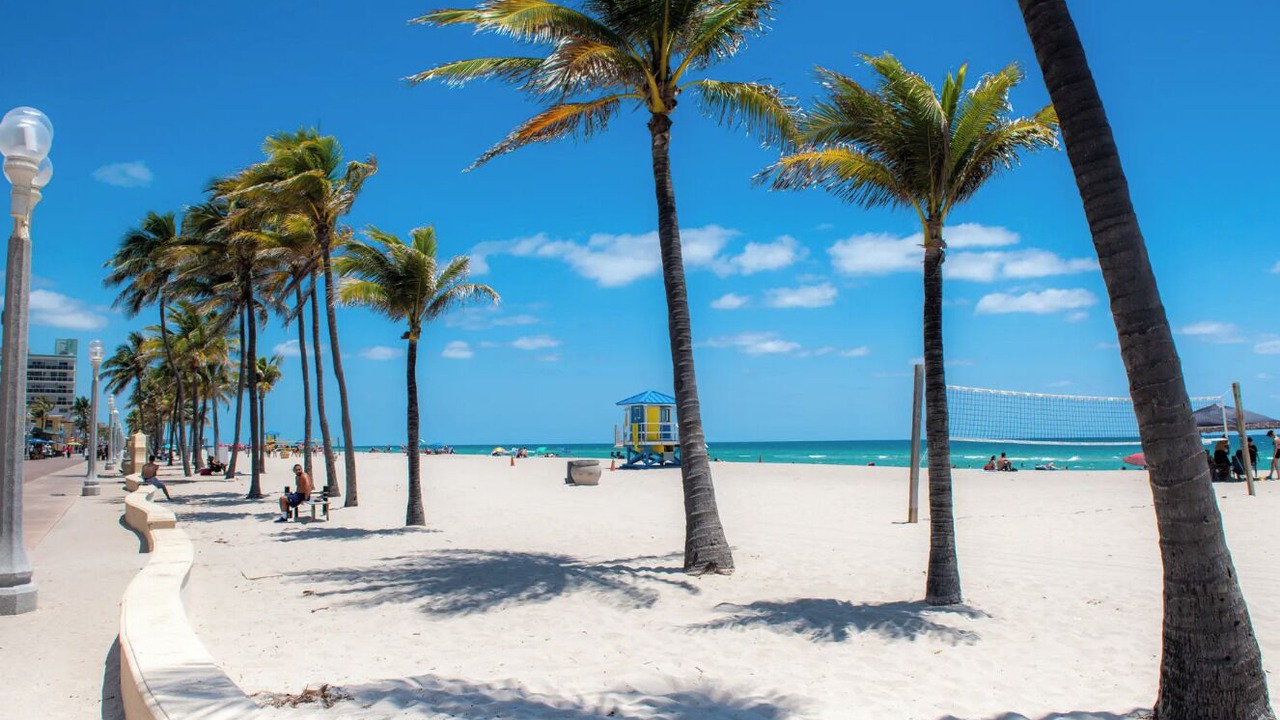 Photo of Others in North Beach