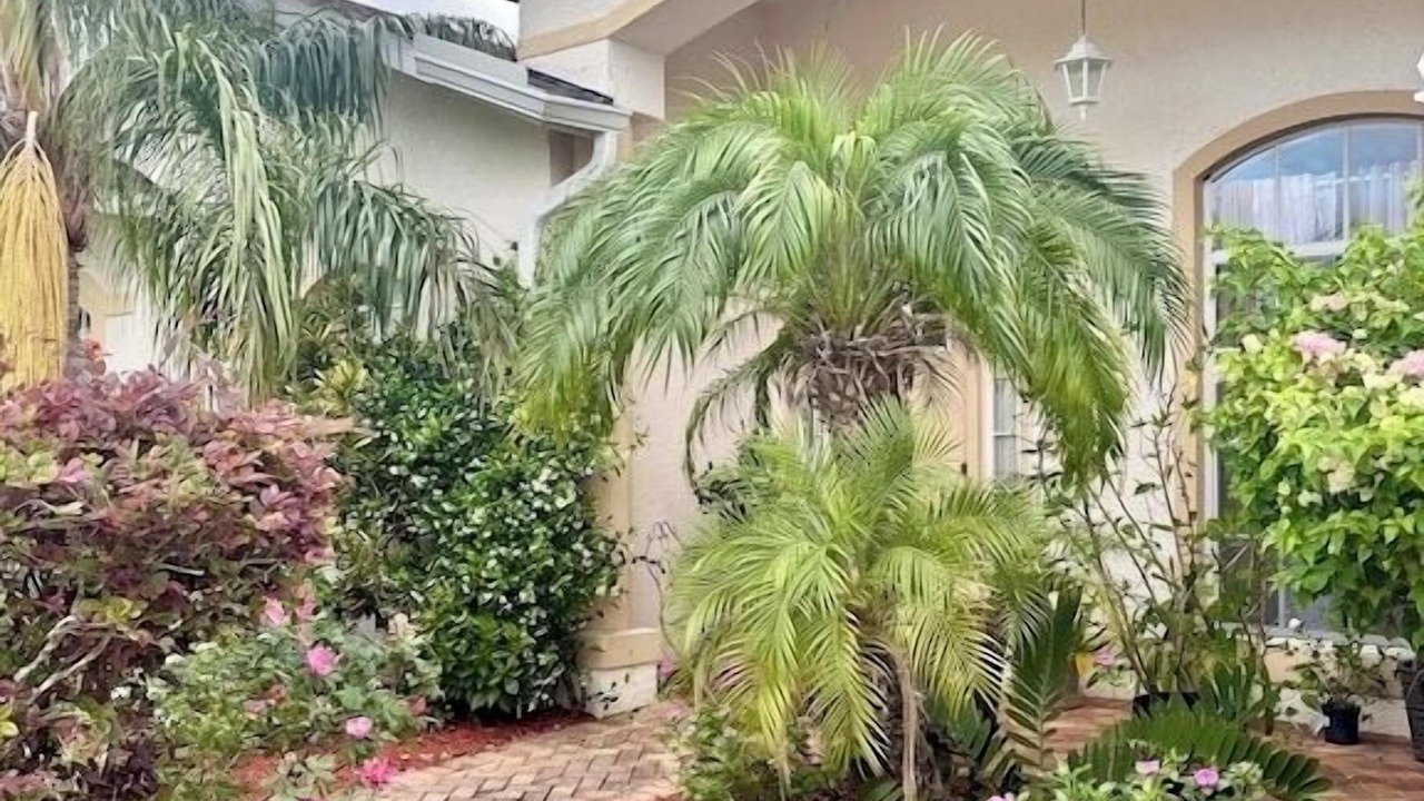 Photo of Outdoor in Land O' Lakes