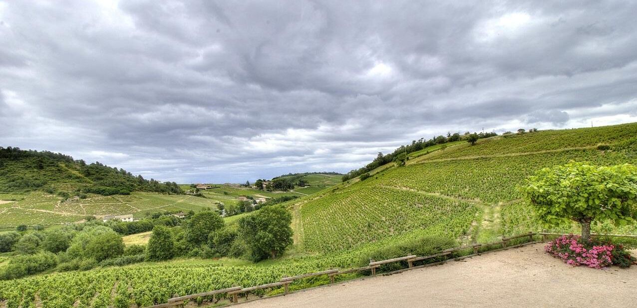 Photo of Others in Fleurie