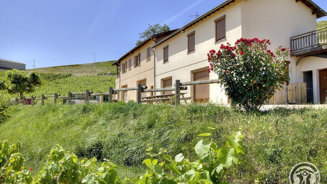 Photo of Outdoor in Fleurie