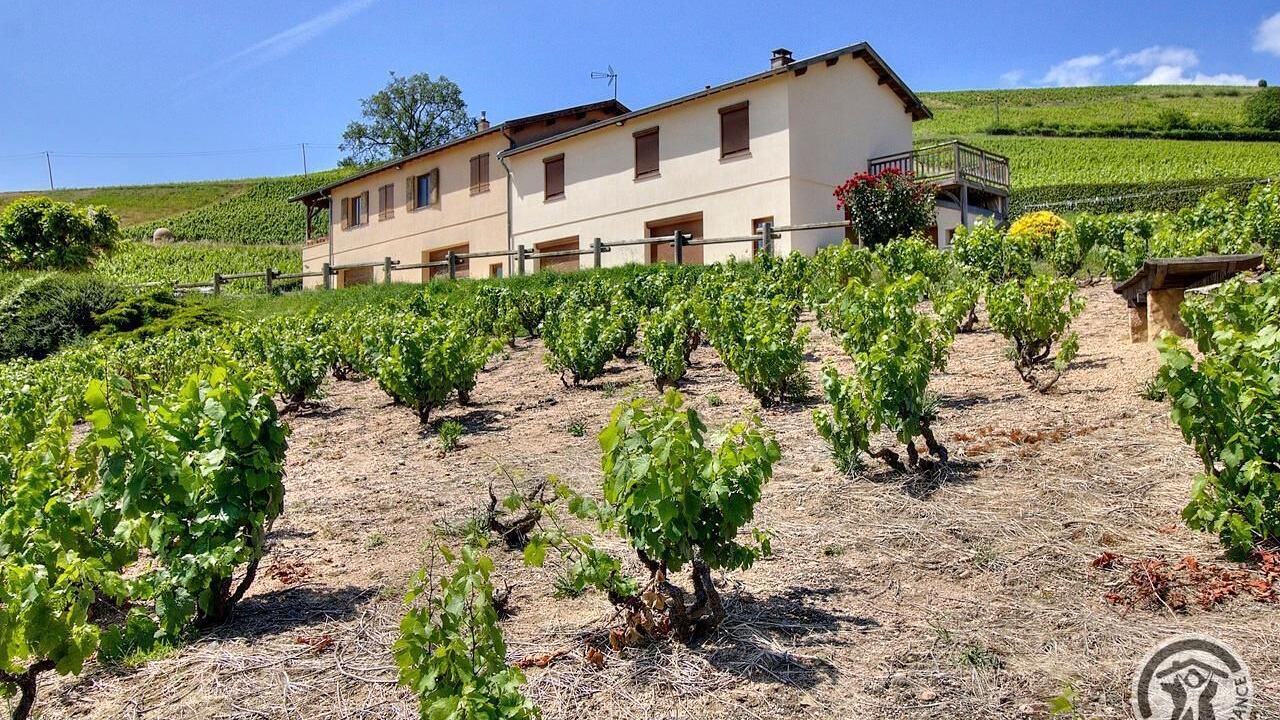 Photo of Outdoor in Fleurie