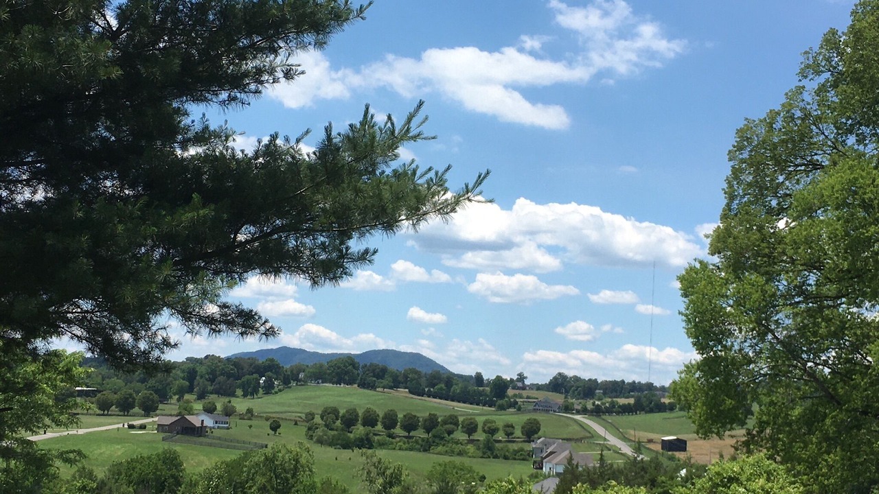 Photo of Others in Grainger County