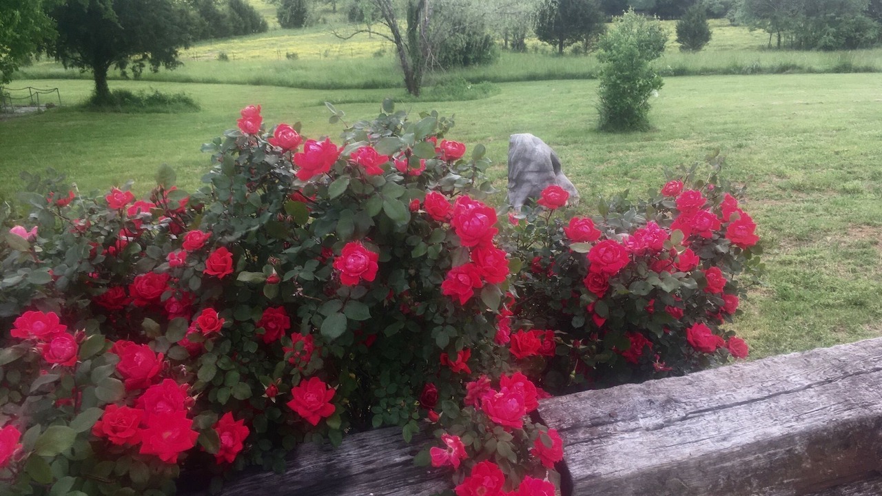 Photo of Outdoor in Grainger County