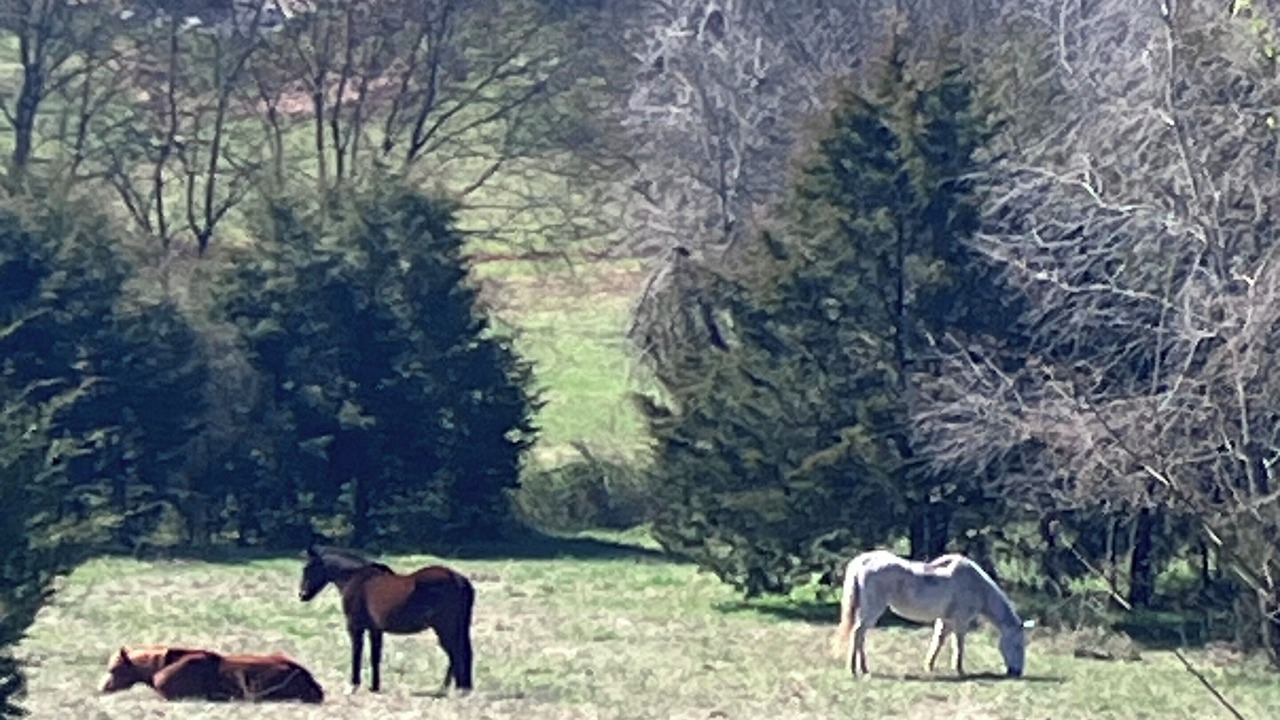 Photo of Others in Grainger County