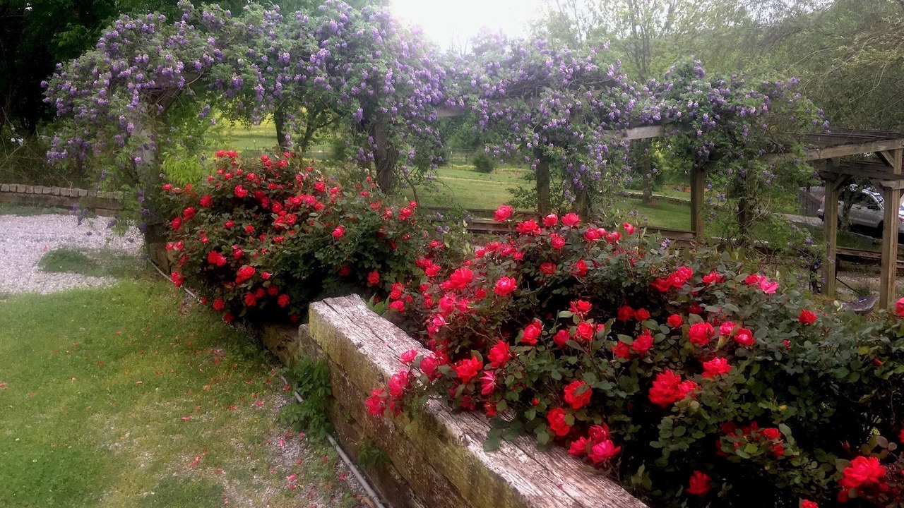 Photo of Outdoor in Grainger County