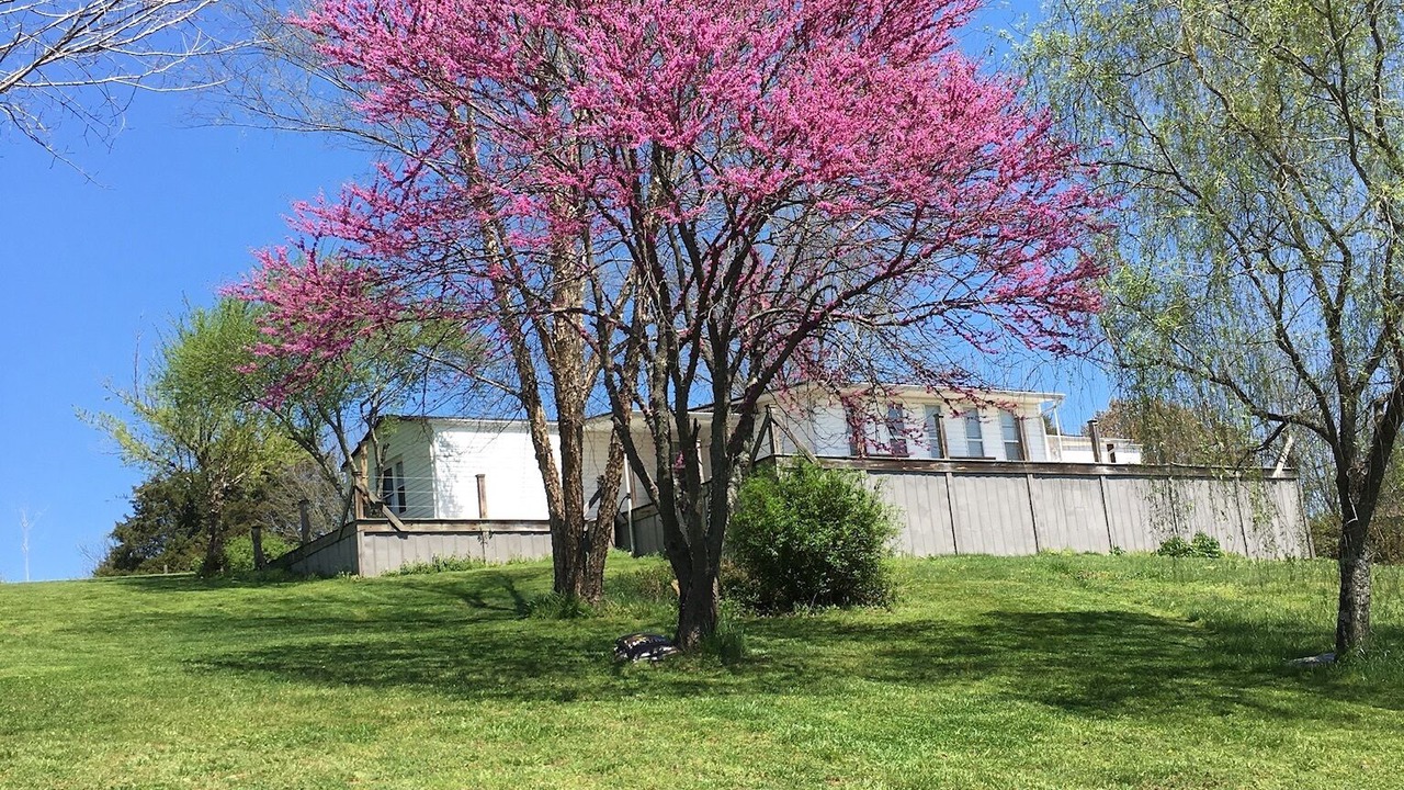 Photo of Outdoor in Grainger County