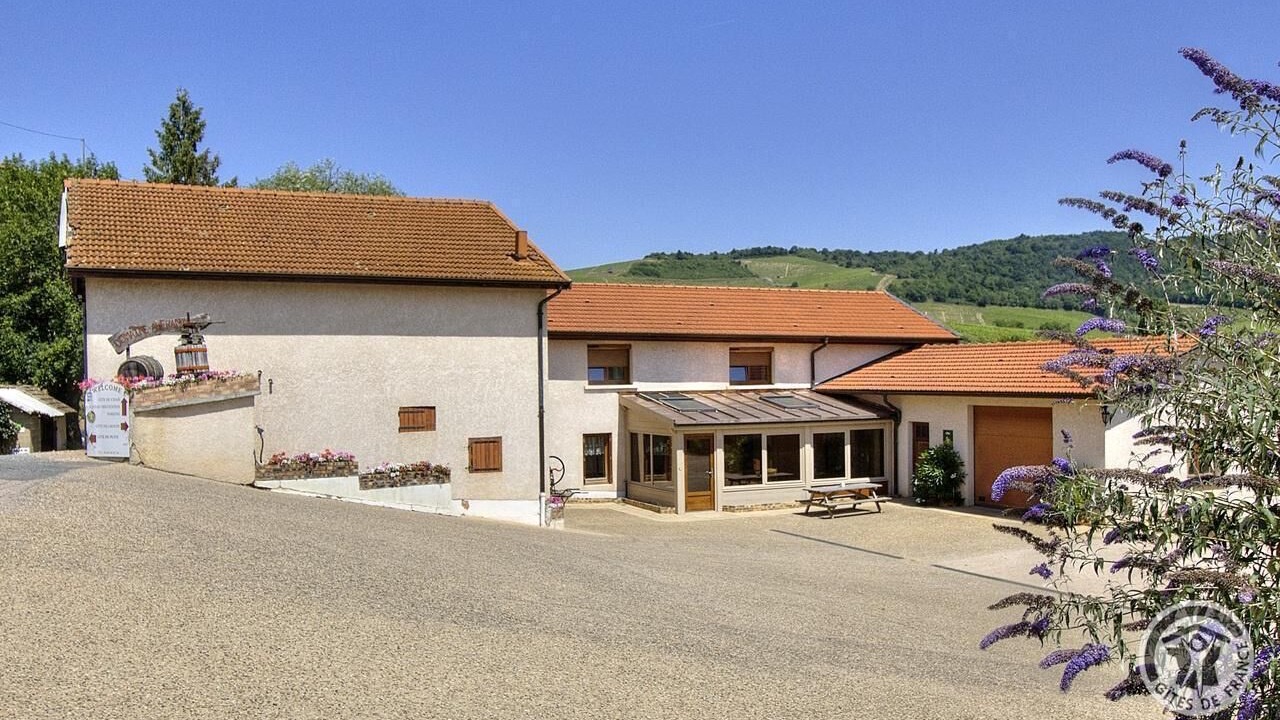 Photo of Outdoor in Fleurie