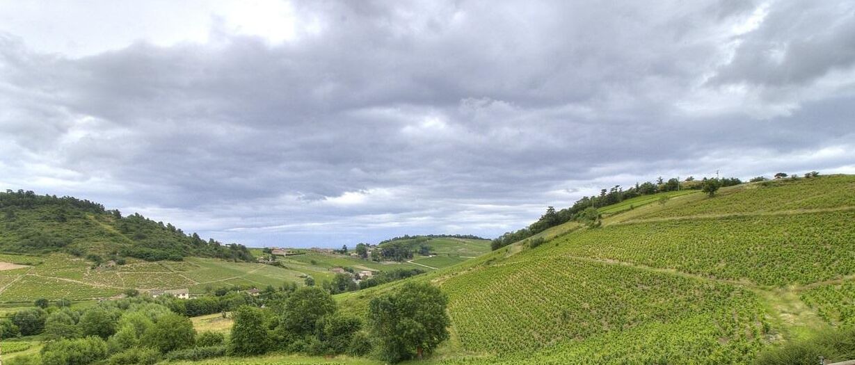 Photo of Others in Fleurie