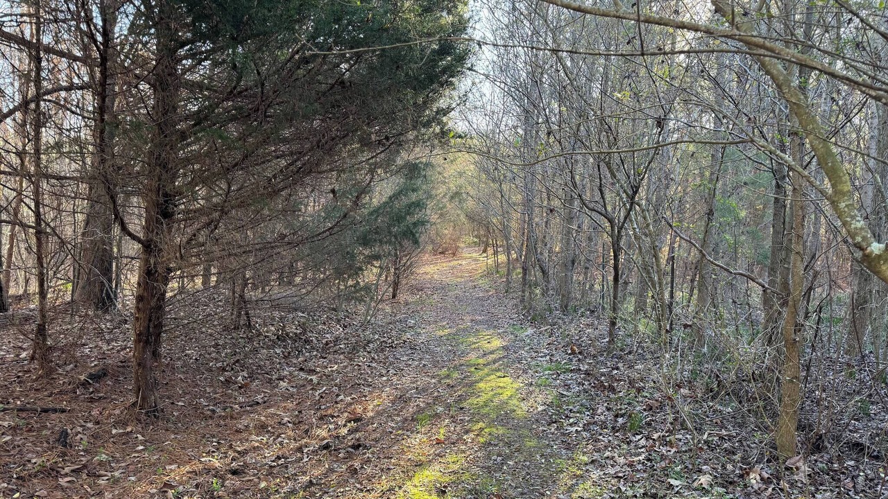 Photo of Others in LaFayette