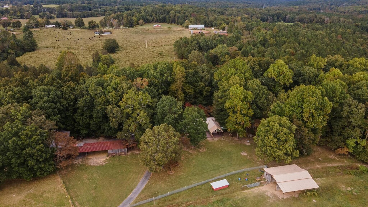 Photo of Outdoor in LaFayette
