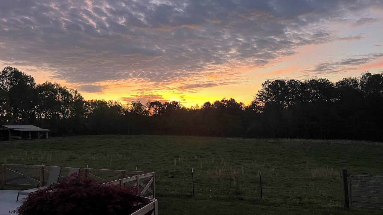 Photo of Others in LaFayette