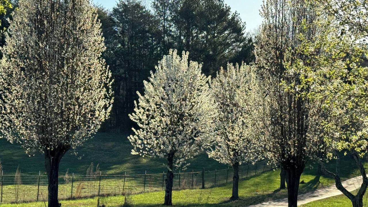Photo of Outdoor in LaFayette