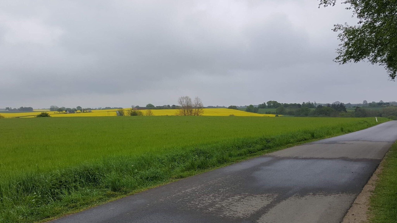 Photo of Others in Hornsyld