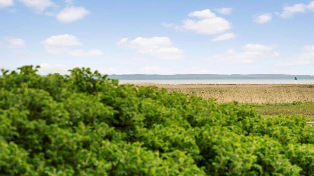 Photo of Others in Haurvig