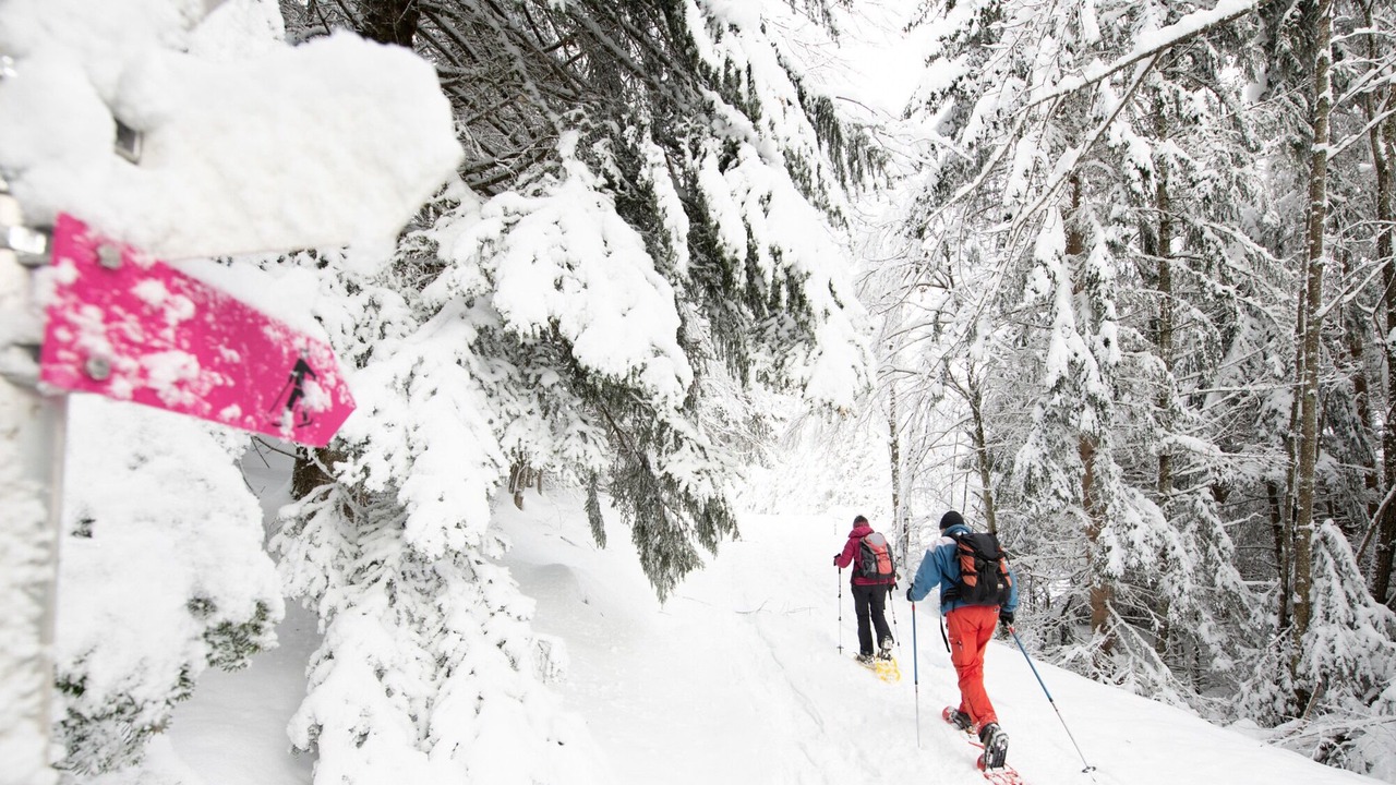 Photo of Others in Vionnaz
