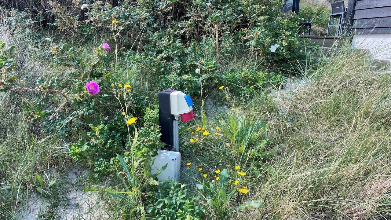 Photo of Others in Argab