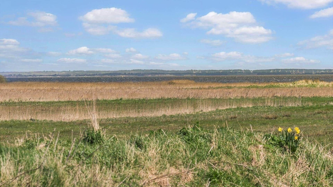 Photo of Others in Haurvig
