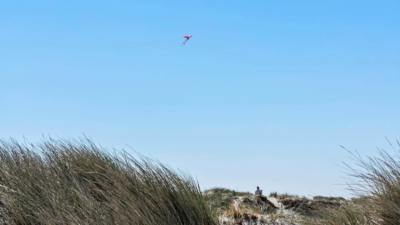 Photo of Others in Argab