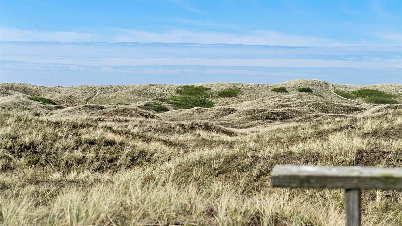 Photo of Others in Argab