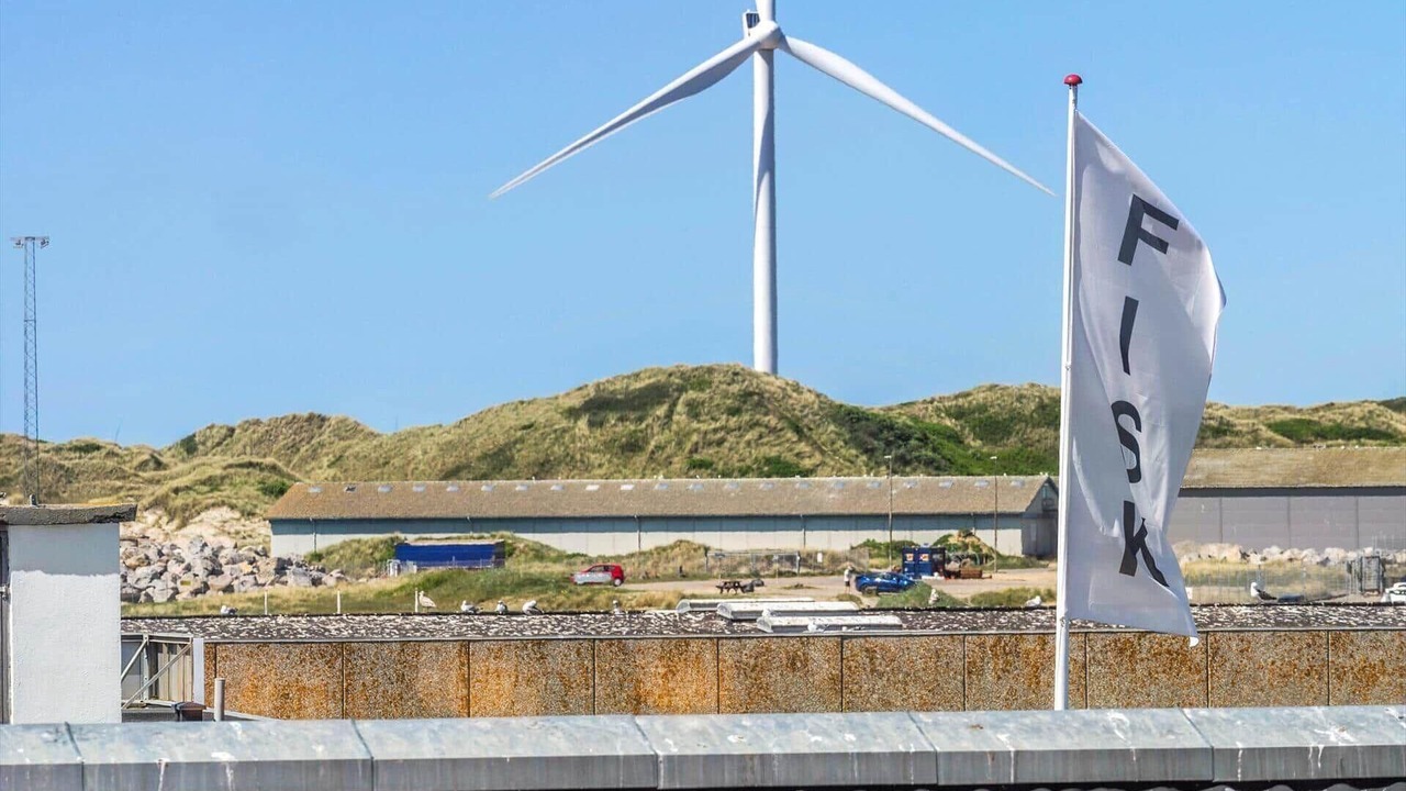 Photo of Others in Hvide Sande