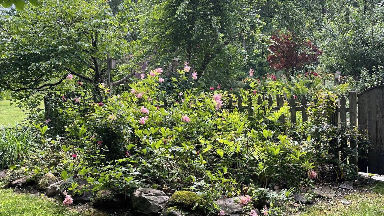 Photo of Outdoor in Buskirk