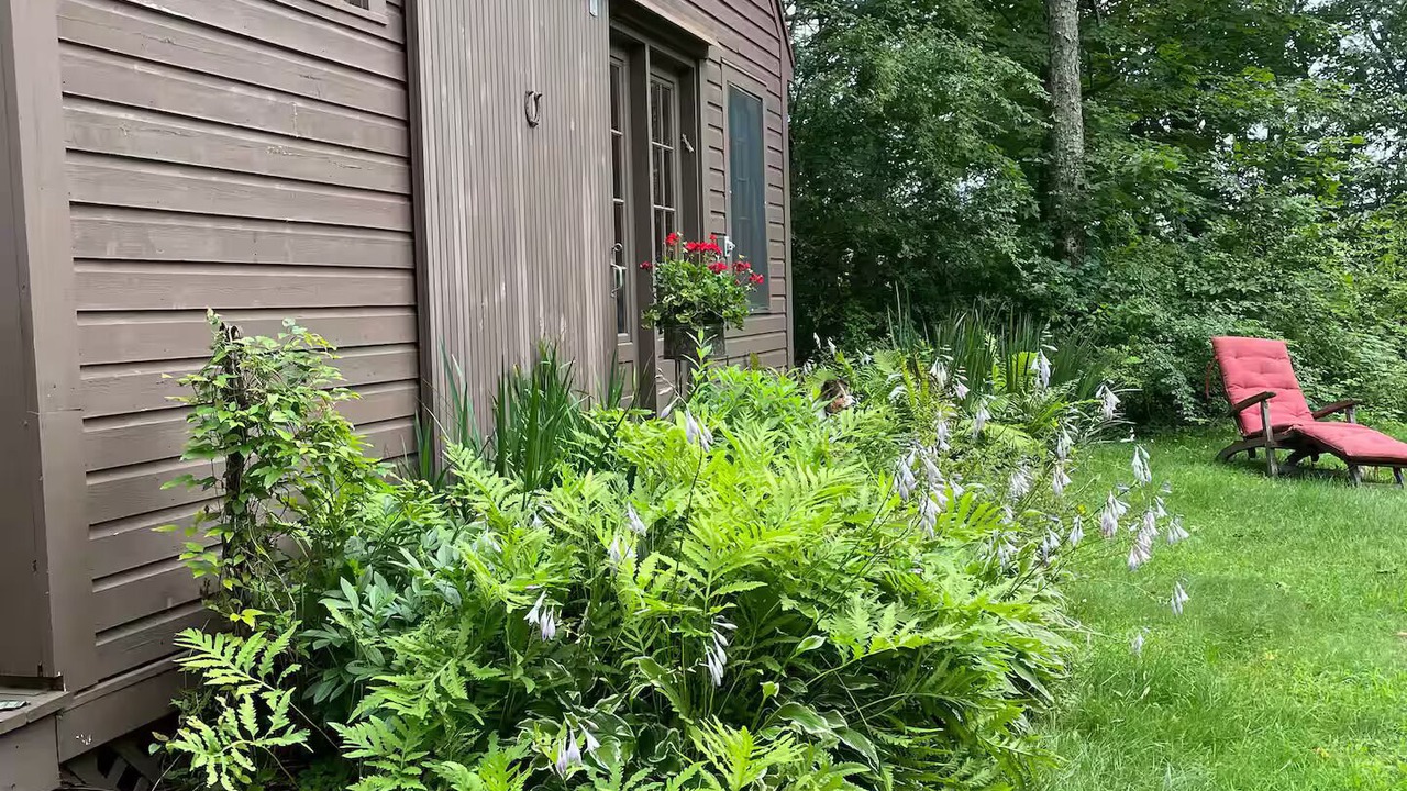 Photo of Outdoor in Buskirk