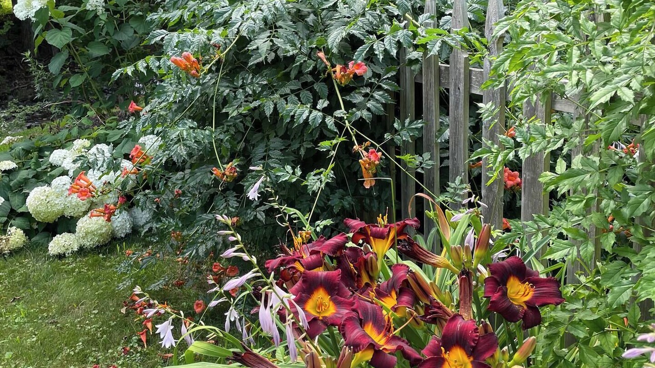 Photo of Outdoor in Buskirk